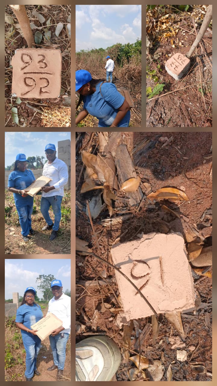 Dala representatives checking survey beacons on a property site